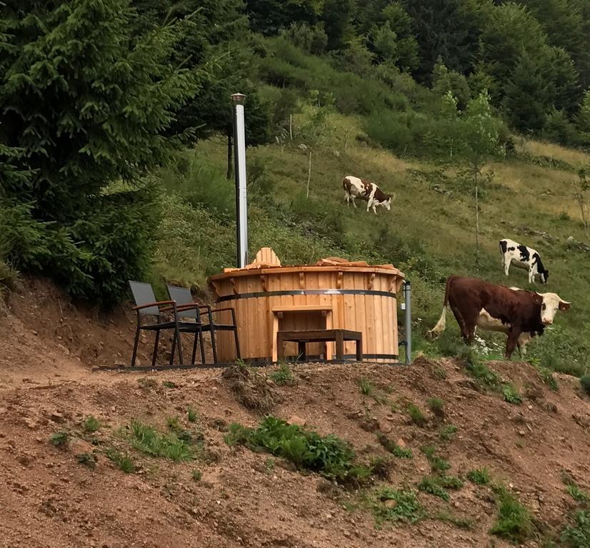 Holiday home La Ferme Du Nol *